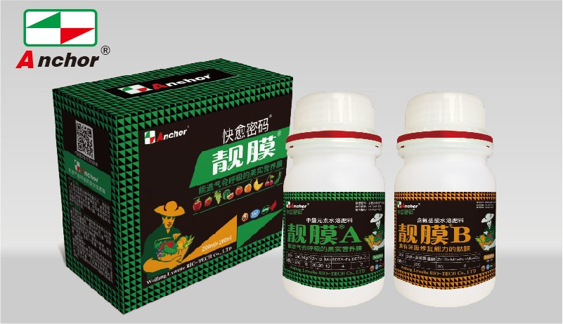 快愈密码®靓膜A+B套装